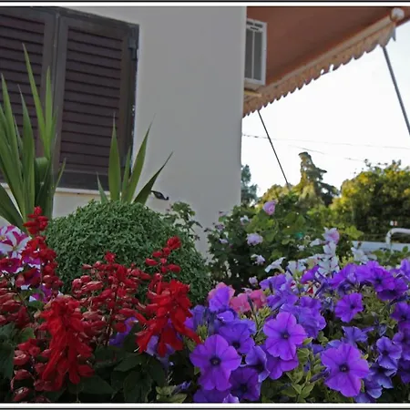 Apartment Katerina Argostoli (Kefalonia)